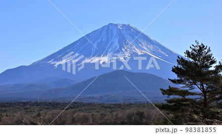 他手合浜から望む富士山（山梨県富士河口湖町） 98381855