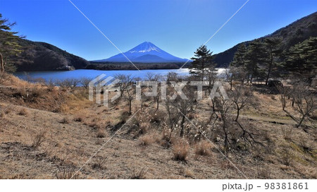 他手合浜から望む富士山（山梨県富士河口湖町） 98381861