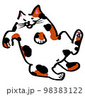 転がる猫 98383122