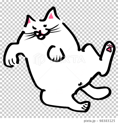 Rolling cat Rolling cat 98383125