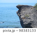 ニュージーランドの海岸と積層岩 98383133