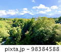 山と木が見える風景 98384588