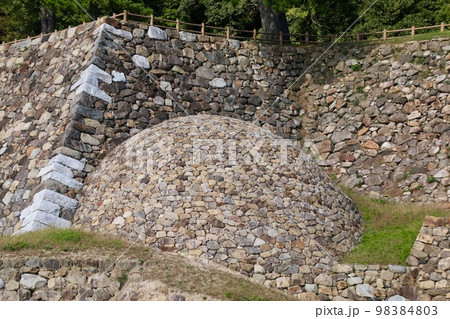 巻石垣・天球丸跡・鳥取城跡(鳥取県・鳥取市) 巻石垣・天球丸跡・鳥取城跡(鳥取県・鳥取市) 98384803
