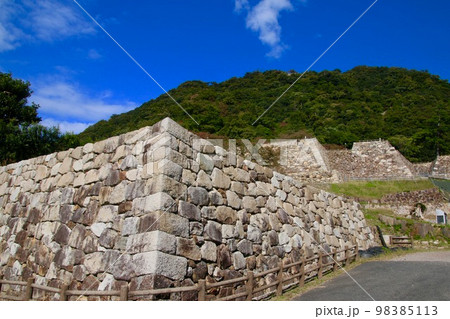 登城路・石垣・鳥取城跡（鳥取県・鳥取市） 98385113