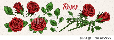 Clip art with lush blooming red roses and leaves. Clip art with lush blooming red roses and leaves. 98385955