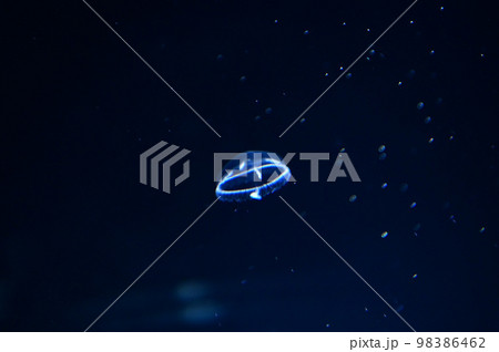 【大阪】夜の海遊館、昼間とは違う生き物たちの姿を見る事が出来ました。クラゲ 98386462