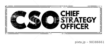 CSO Chief Strategy Officer - executive has primary responsibility for strategy formulation and management, including developing the corporate vision and strategy, acronym text stamp 98386661
