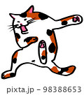 嫌がる猫 98388653