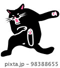 嫌がる猫 98388655