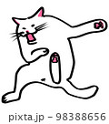 嫌がる猫 98388656