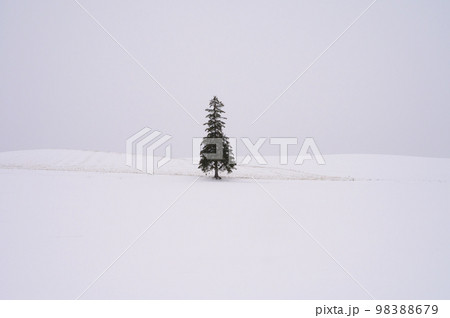 雪の降るクリスマスツリーの木 雪の降るクリスマスツリーの木 98388679