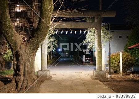 参拝《初詣》 98389935