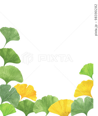 Ginkgo biloba ancient tree fan-shaped leaves round frame watercolor illustration, maidenhair tree leaf healthy eco-friendly floral organic plant concept, template for invitation, card, poster 98390282