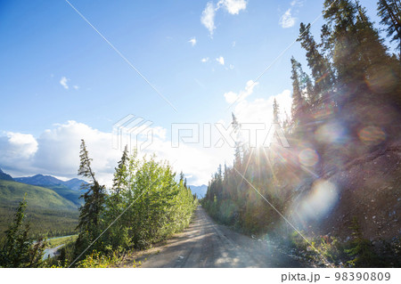 Road in Alaska Road in Alaska 98390809