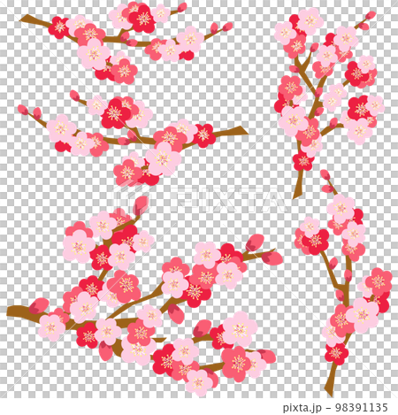 梅の木のイラスト素材セット　ベクター 98391135