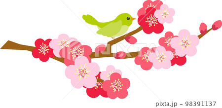 梅の木のイラスト素材とウグイス ベクター 梅の木のイラスト素材とウグイス ベクター 98391137