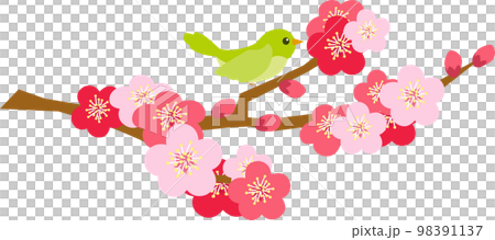 梅の木のイラスト素材とウグイス ベクター 梅の木のイラスト素材とウグイス ベクター 98391137