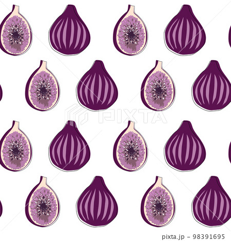 Fig vector seamless pattern on white background. 98391695