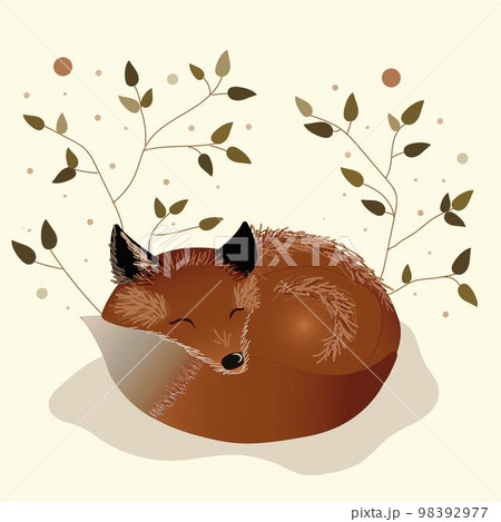Cute sleeping fox. Vector autumn character isolated on white background. Fall season woodland animal icon for print, sticker, postcard. Funny forest illustration. 98392977