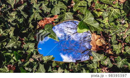 mirror between the hedra 98393397