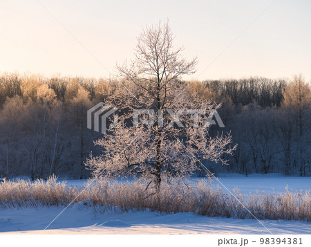霧氷と気嵐 霧氷と気嵐 98394381