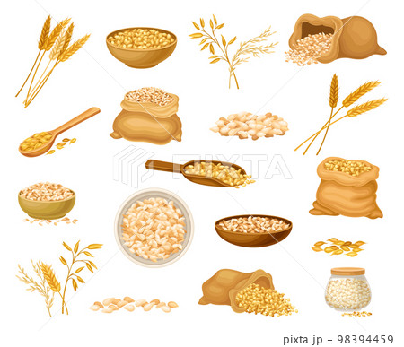 Grains Crop with Wheat or Oat Spikelet and Sack Big Vector Set 98394459