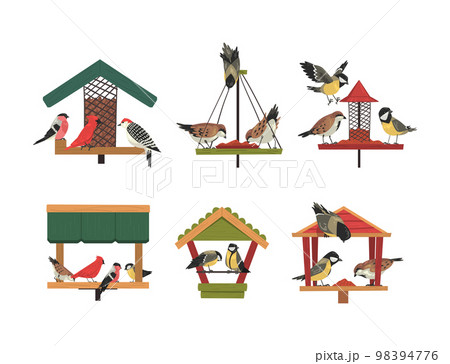 Winter Wooden Bird Feeder with Aves Picking Grain and Seeds Vector Set Winter Wooden Bird Feeder with Aves Picking Grain and Seeds Vector Set 98394776