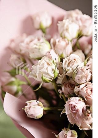 background of the many delicate little pink roses 98395106