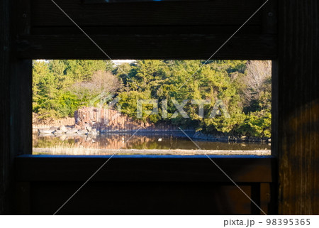 葛西臨海公園鳥類園2023年1月 98395365