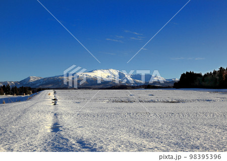 2023,年1月庄内平野からの月山 2023,年1月庄内平野からの月山 98395396