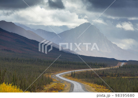 Road on Alaska 98395680