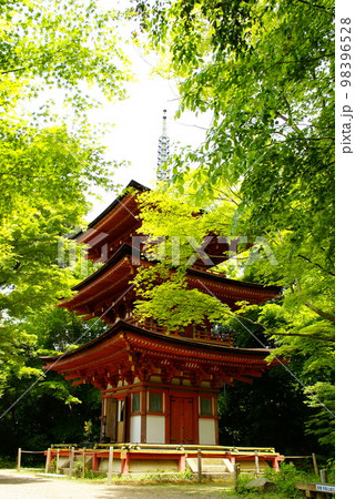 浄瑠璃寺 浄瑠璃寺 98396528