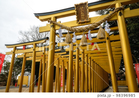 茨城県ひたちなか市　ほしいも神社の鳥居の列 98396985
