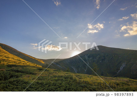 Panorama of Carpathian mountains in summer sunny day. 98397893