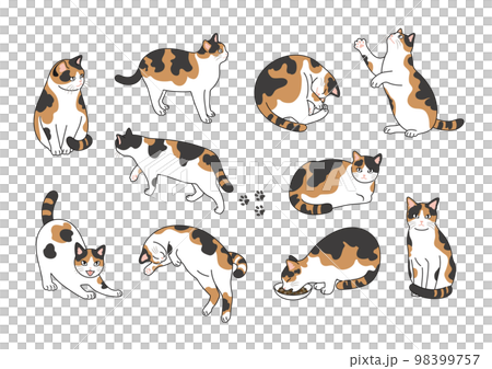 時尚貓線描插圖集 98399757