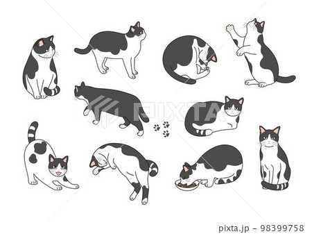 【全国割引】猫の絵　白黒ブチ　ペン画　手描き 絵画