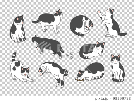 時尚貓線描插圖集 98399758