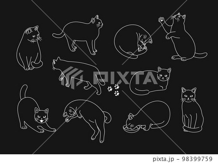 黒い背景と猫の白い線画イラストセット　 98399759