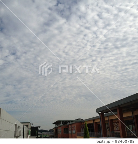 雲01202 雲01202 98400788