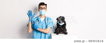 Funny black pug dog wearing medical mask, sitting near handsome veterinarian doctor putting on gloves for examination, white background Funny black pug dog wearing medical mask, sitting near handsome veterinarian doctor putting on gloves for examination, white background 98403818