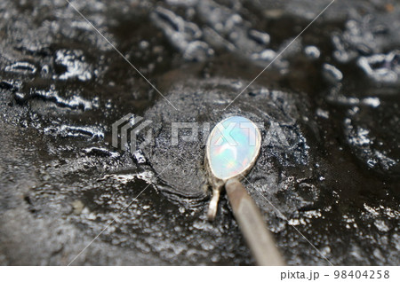 彫金の工房 彫金の工房 98404258