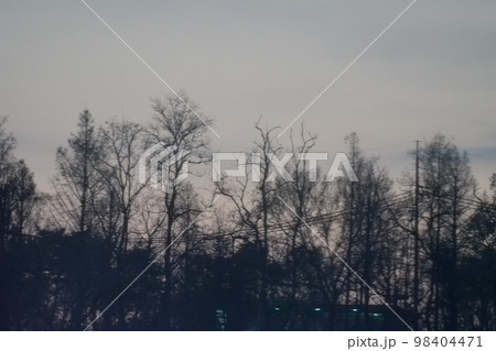 冬の木 冬の山 冬 98404471