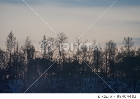 冬の木 冬の山 冬 98404482