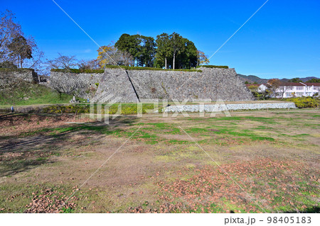 丹波篠山城の石垣と本丸御殿 98405183