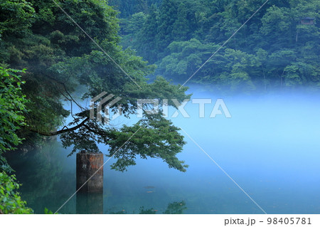 霧幻峡の渡し  霧 98405781