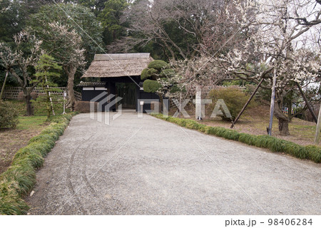 偕楽園 偕楽園 98406284