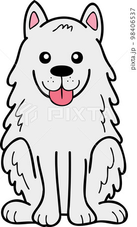 Hand Drawn Samoyed Dog sitting waiting for owner illustration in doodle style Hand Drawn Samoyed Dog sitting waiting for owner illustration in doodle style 98406537