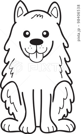 Hand Drawn Samoyed Dog sitting waiting for owner illustration in doodle style Hand Drawn Samoyed Dog sitting waiting for owner illustration in doodle style 98406538