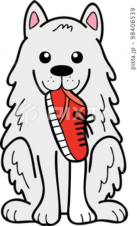 Hand Drawn Samoyed Dog holding shoes illustration in doodle style Hand Drawn Samoyed Dog holding shoes illustration in doodle style 98406539