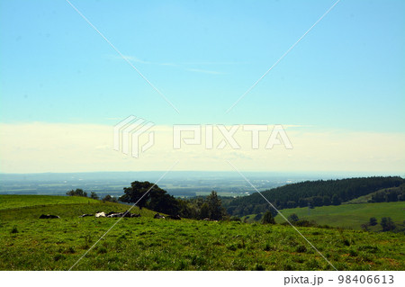 雄大なる十勝平野眺望の大パノラマ牧場!! 98406613